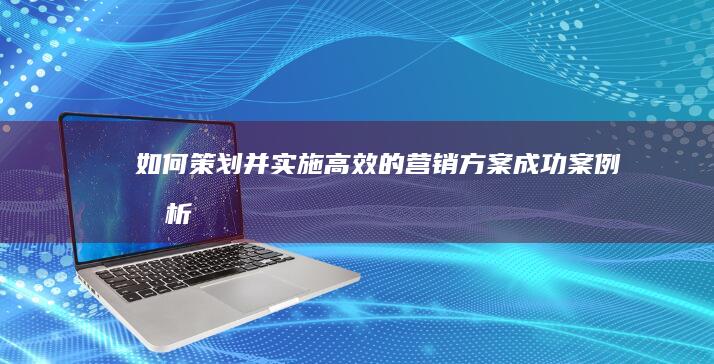 如何策划并实施高效的营销方案：成功案例分析